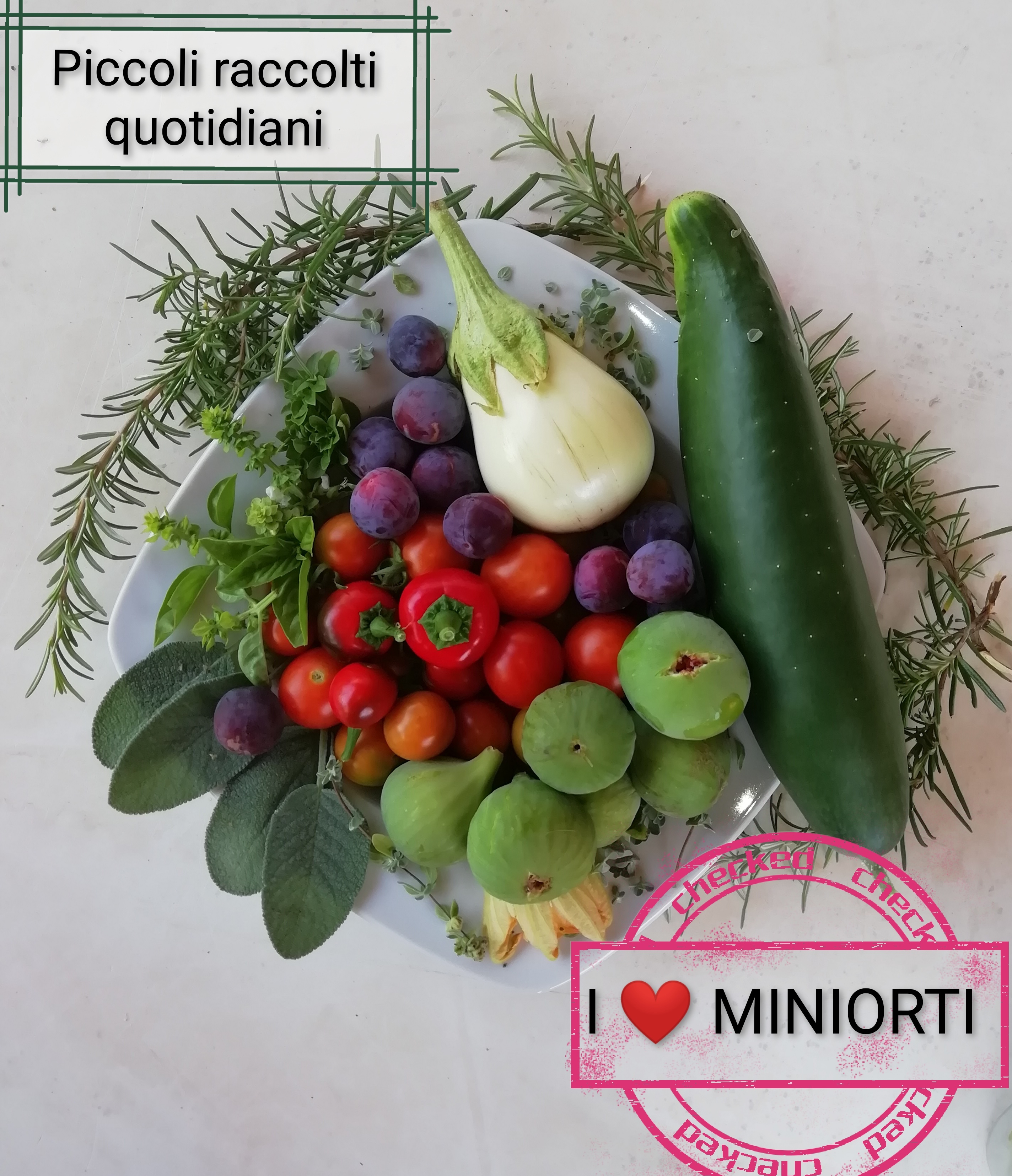 miniorti