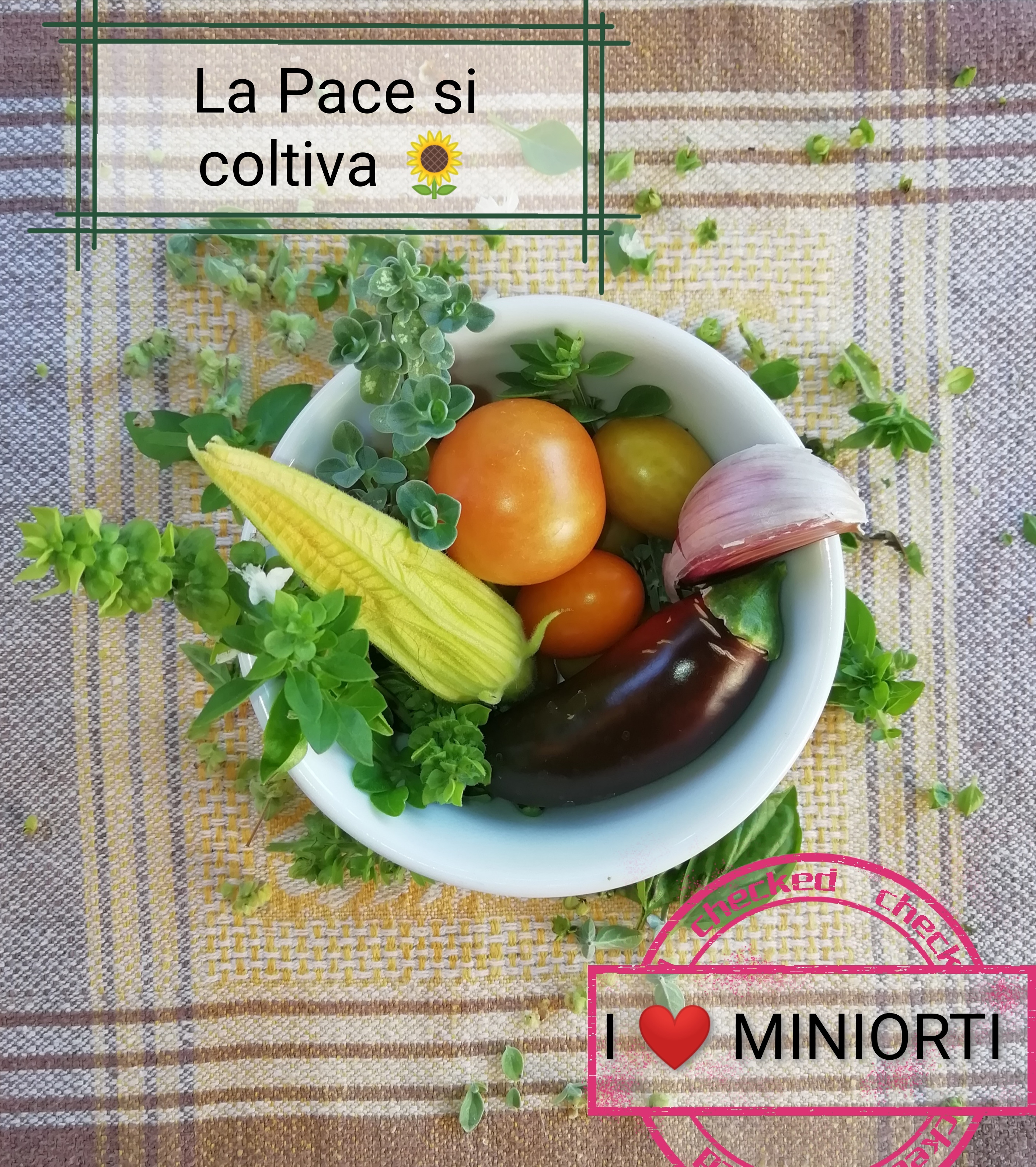 miniorti la pace si coltiva